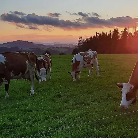 Malcykowka Z Jacuzzi Na Wylacznosc Alpesi faház *